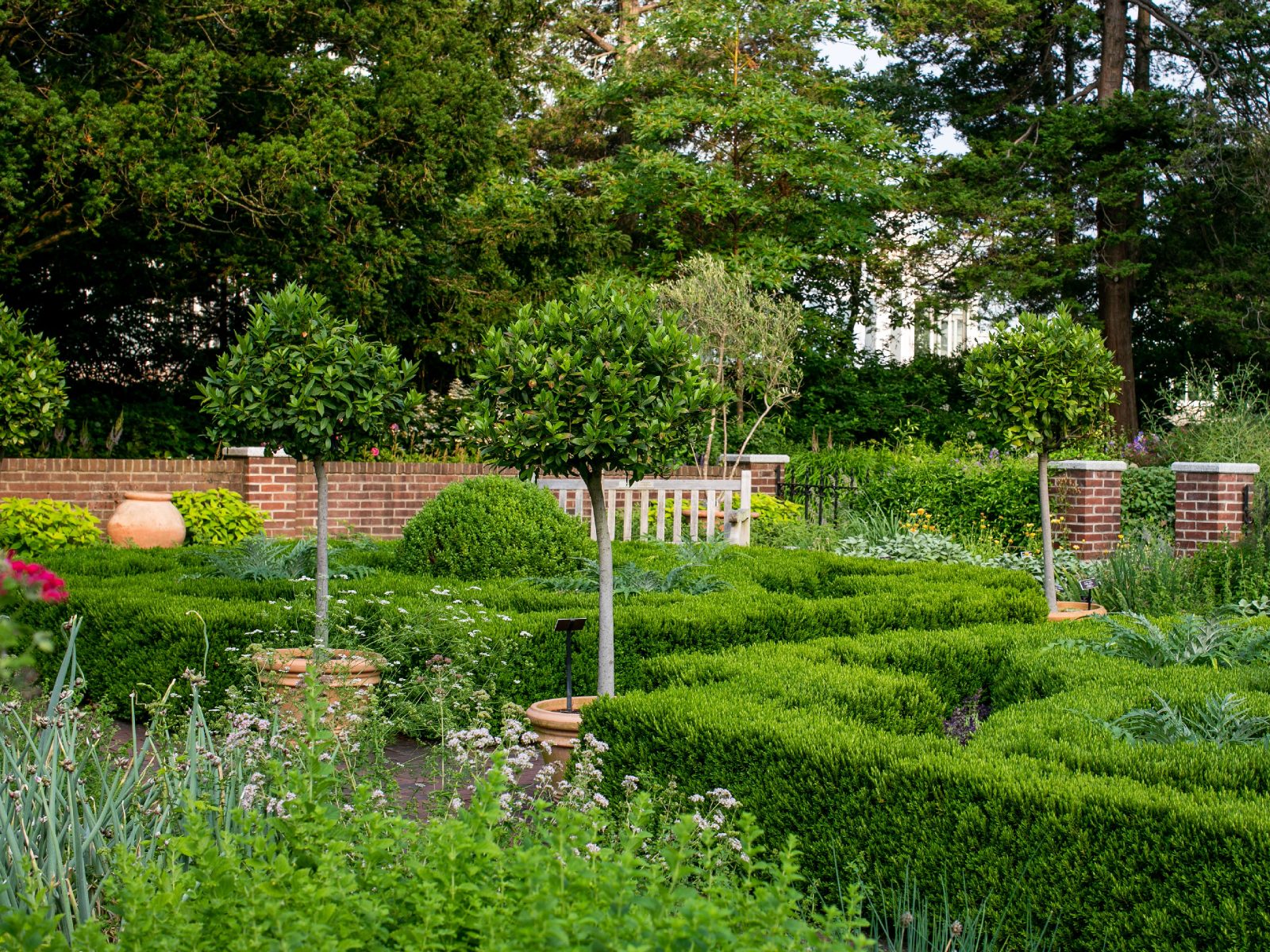 Herb Garden New York Botanical Garden