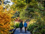 Visitors walking along the path with multi-colored plants and trees surrounding them