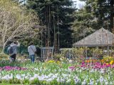 2 visitors enjoying pink and white flowers