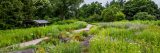 Path surrounded by colorful spring flowers