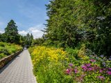 Pathway surrounded by a small, multicolored stone wall, green bushes, and yellow, pink and purple flowers underneath green trees and blue skies.