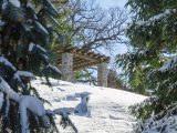 Trees with snow in forefront with gazebo in background