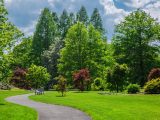 Windy path with bench leading to field of trees, some green and some with red