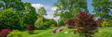 Bright landscape with green and deep red trees