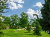 Various green trees and blue sky with some clouds