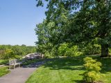 Large tree shadowing over path with bench