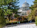 Three people walking on a pathway surrounded by grass covered in snow, green trees, and brown and orange bushes with the Haupt Conservatory Palm Dome in the distance.