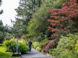 Visitor walking down the path surrounded by plants and bushes