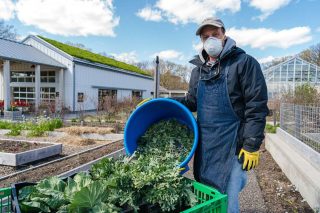 Edible Academy Employees Harvesting Produce