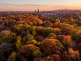 Aerial shot of the forest with the city in the background at sunset