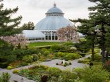 Grey pathway, green bushes and trees, small yellow, white and orange flowers, and the Haupt Conservatory Palm Dome in the distance.