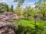 Tall tree blooming small, pink flowers growing amongst other blooming, green trees and bright green grass.