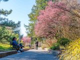 Visitors enjoying Ladies Border; surrounded by bright pink and yellow flowers