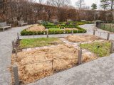 Small green bushes and some dry plants with benches surrounding