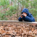 Little boy in blue hooded jacket holding binoculars looking at brown fallen leaves in a pile, while resting his elbows on a cement ledge. Bare trees behind him with one tree that has some green leaves on it.