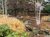 Path surrounded by rocks and bare trees and shrubs