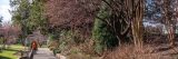 Visitor walking down the path surrounded by bare trees and bushes