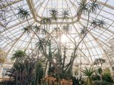 Sun peaking through the inside of the Desert Galleries in the Conservatory