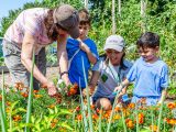 NYBG staff and children picking orange/yellow flowers