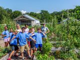 Group of students with NYBG staff in the midst of basil and other plants