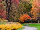 Long pathway surrounded by green grass, and trees with leaves turning orange, red and yellow.