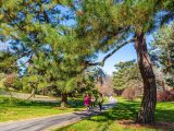 Guests walking down a pathway surrounded by tall green trees and green grass.