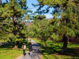 Two guests walking down a grey pathway amongst green grass and green trees.