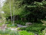 Various trees and plants surrounding a path