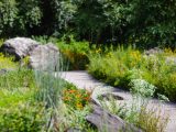 Small path in the width of long stemmed yellow and orange flowers with large rocks