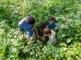 Children in a field of plants with a bucket of soil
