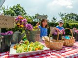 Kids behind a table with baskets of activities, water pots with pink flowers, and cucumber tomato skewers