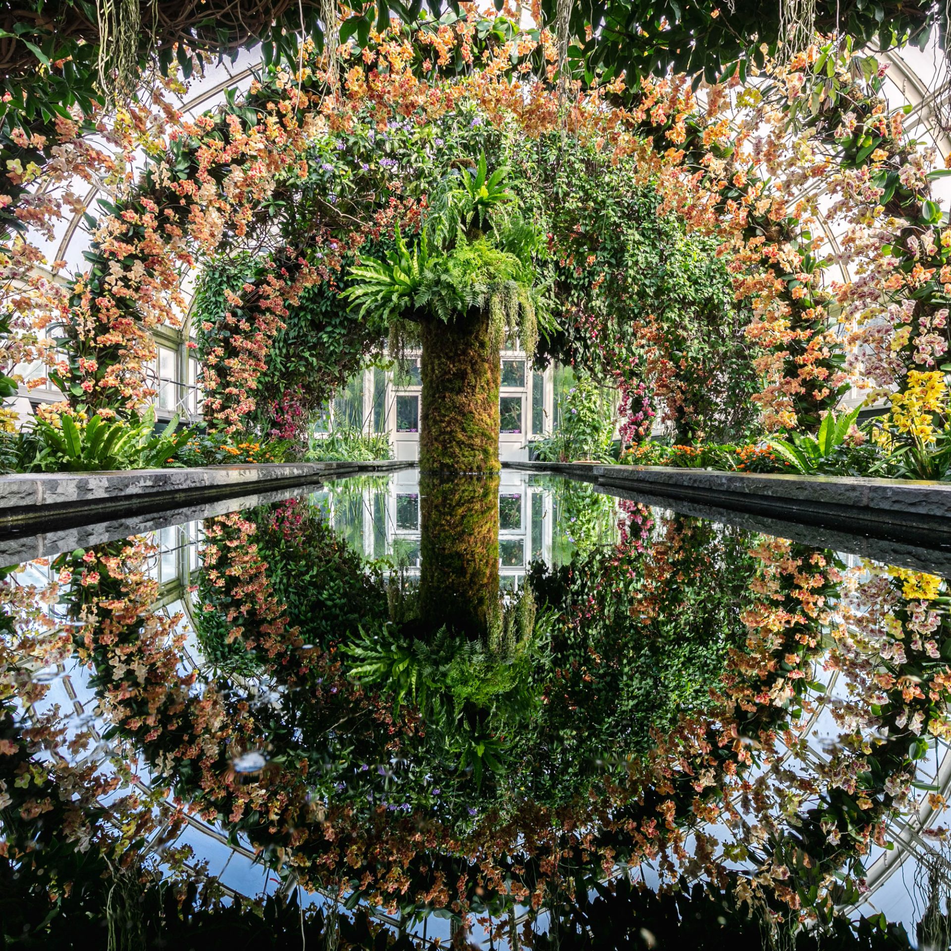NYBG at Home for Kids & Families » New York Botanical Garden