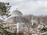 Conservatory surrounded by snowy trees