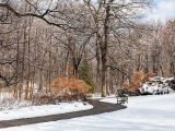 Long pathway next to snow covered bushes, grass, and bare trees with a wooden bench in the distance.