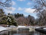 Water feature with snow on the ground and on the trees