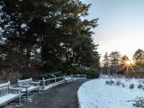 2 benches along a path with snow dusting the ground and benches. Sun peaking through the trees