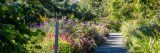 Various flowers and trees surrounding the path