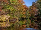 Multi-colored fall trees and their reflection in the river