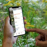 Photo of iNaturalist at work