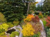 A small pond surrounded by multi-colored plants