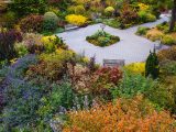 Grey pathway amongst green, orange, yellow and green foliage and wooden benches at the center.