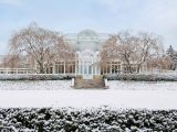 Snow covered bushes, grass, trees and steps leading to a Haupt Conservatory glasshouse entrance.