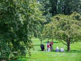 Family sitting under a tree