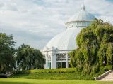 Bright green grass amongst concrete steps, green bushes and trees amongst the Haupt Conservatory Palm Dome exterior.