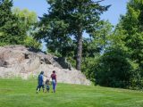 Family walking on grass with a large rock before them and fully bloomed trees