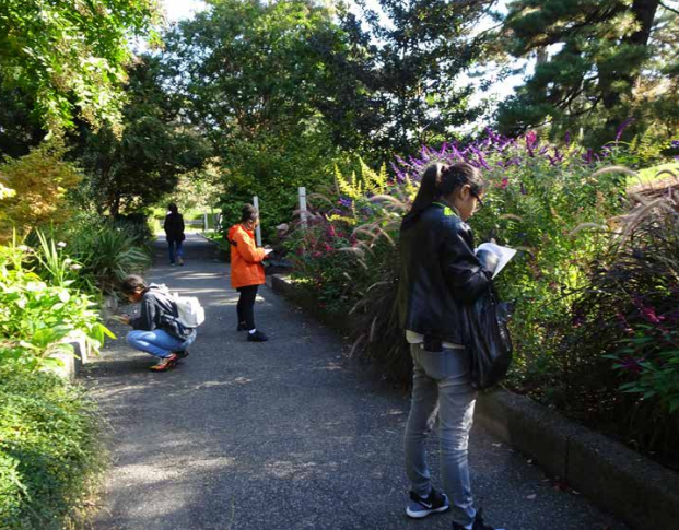 Photo of students keeping field journals