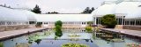 Conservatory pool with water lilies and lotuses