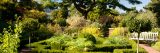Green bushes and trees next to a brick pathway and wooden benches below blue skies.