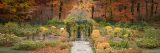 Rose Garden with a few white roses; orange, green and yellow trees and shrubs surrounding the garden