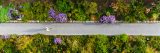 Aerial image of a visitor walking along the walkway surrounded by green and purple plants and bushes